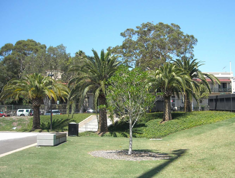 Redfern Park